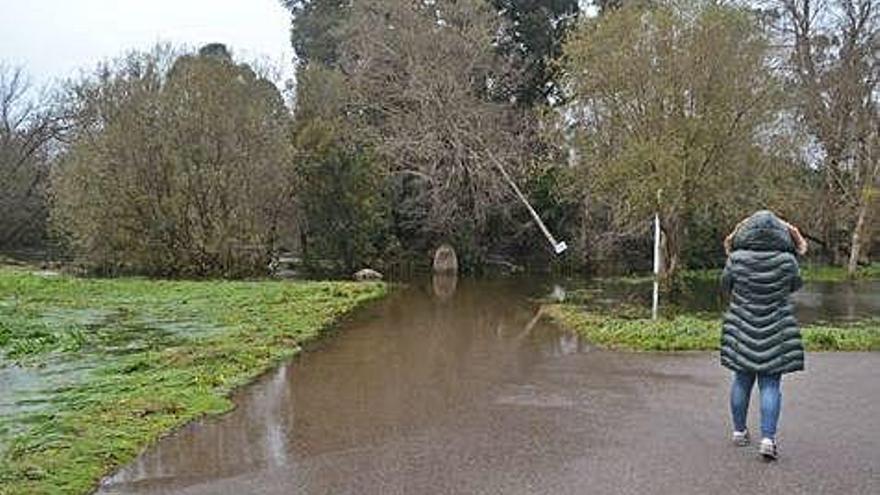 Área recreativa de As Aceñas inundada ayer en Meis por el río Umia.