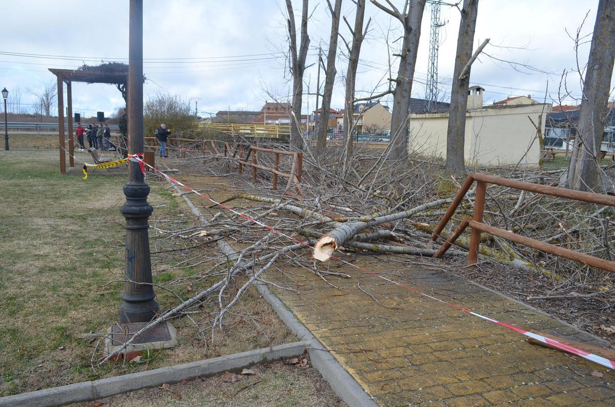 Parte del vallado de madera destrozado y a la derecha, el cauce del regato.