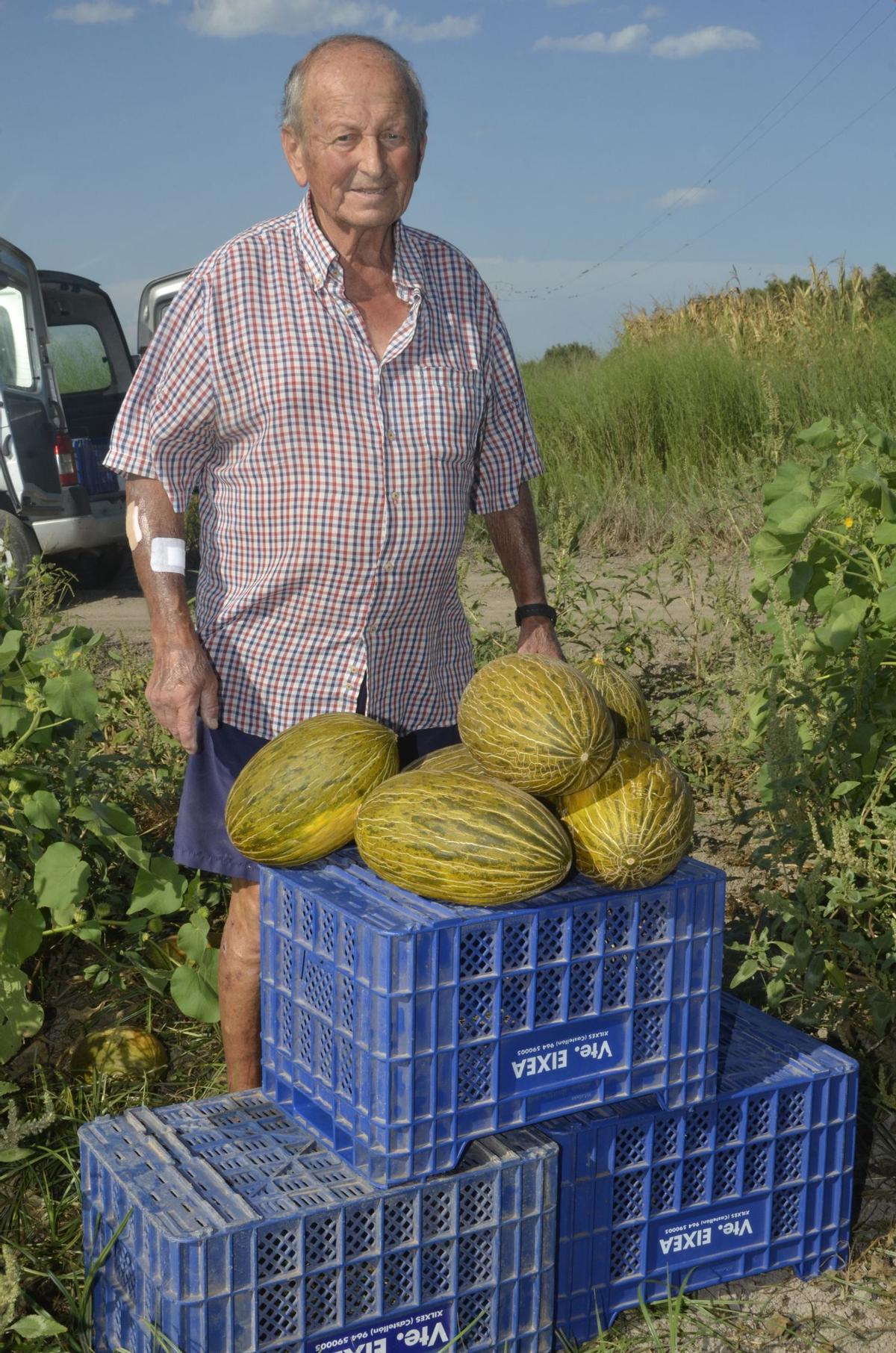 Vicente Eixea es consciente de que el cambio climático está modificando las condiciones en las que durante décadas se ha desarrollado el cultivo.