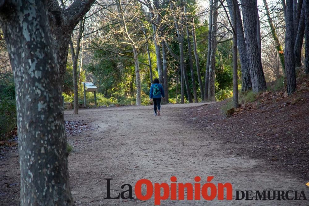 Fuentes del Marqués en invierno