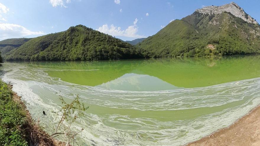 La fuente de Asturias se tiñe de verde: así está el embalse de Tanes