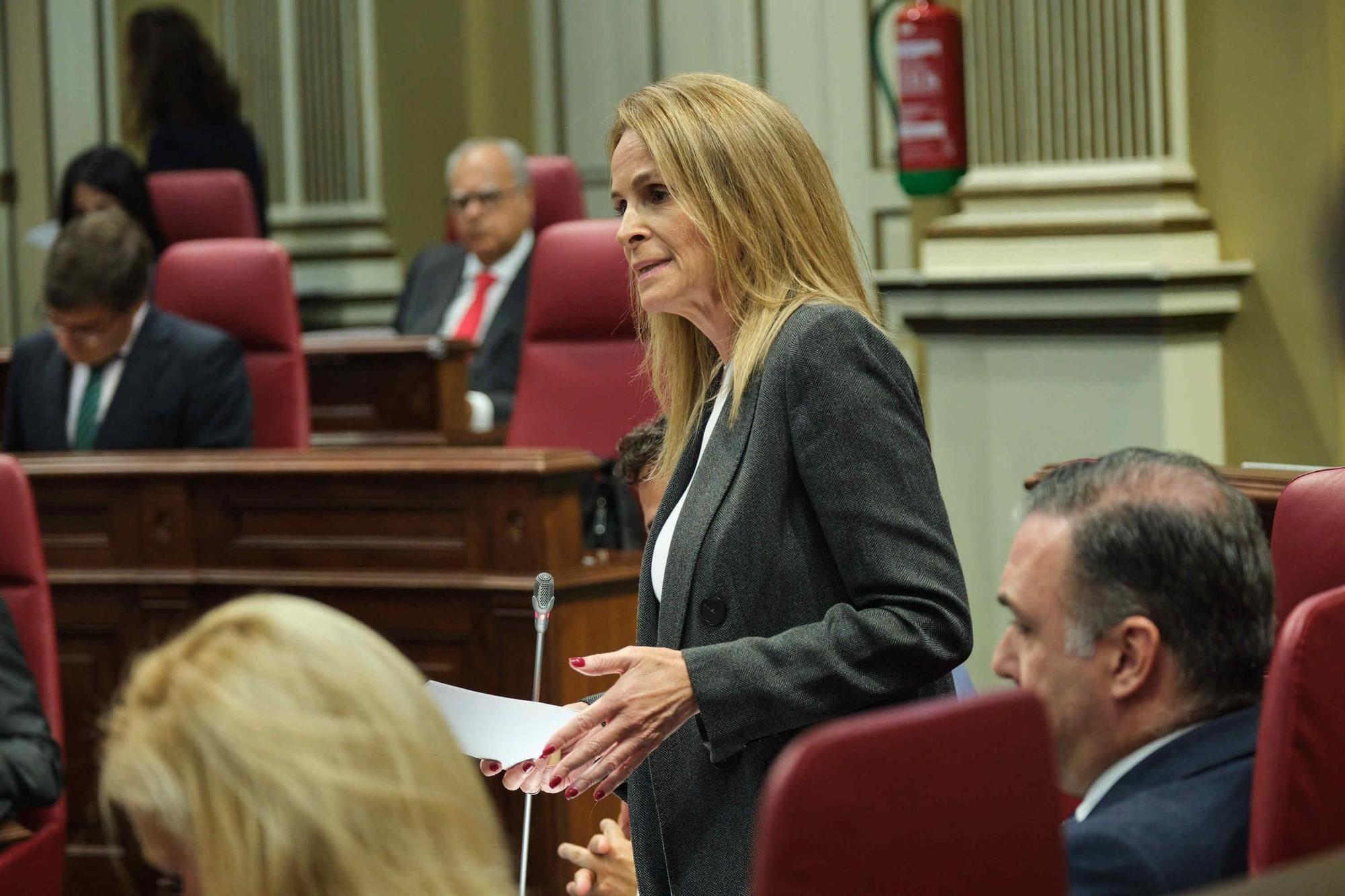 Pleno del Parlamento de Canarias (07/11/2023)