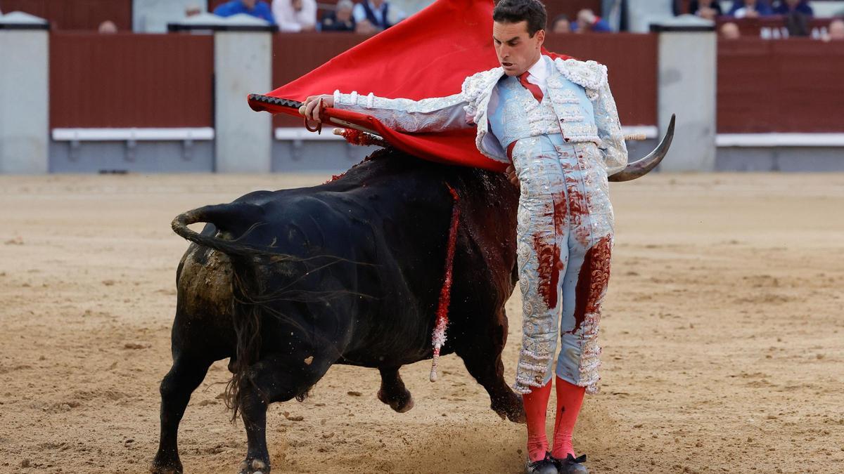 El diestro Fernando Adrián pasea a uno de los astados en la Feria de San Isidro.