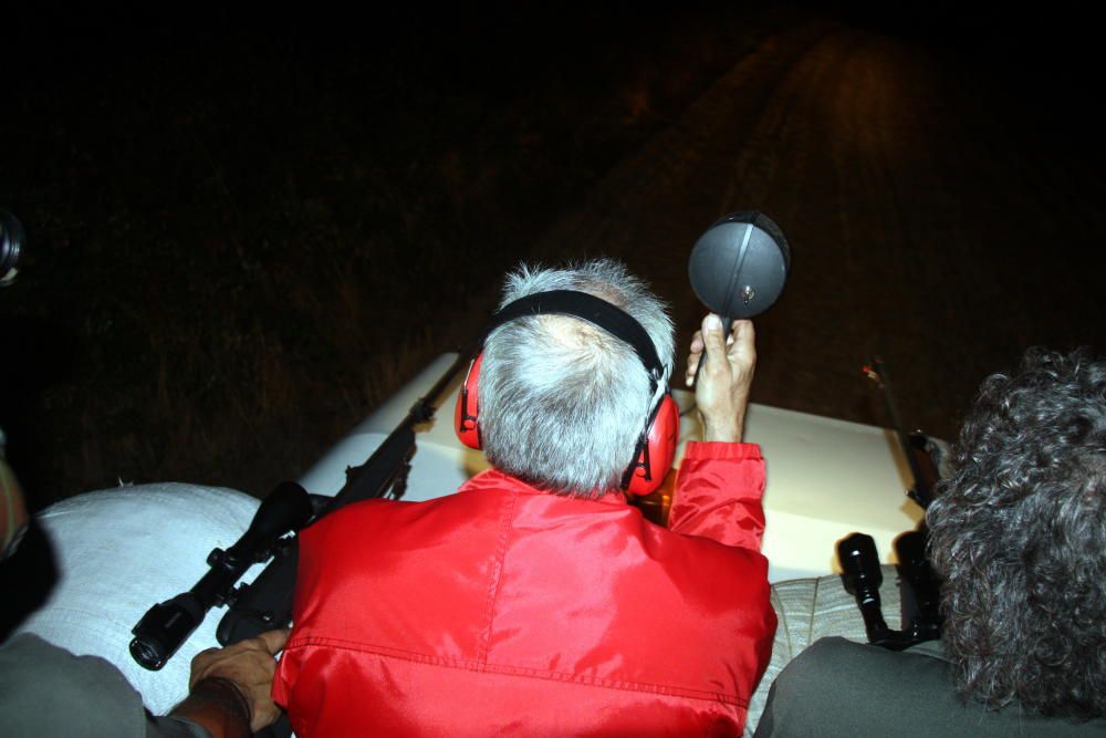 Els Agents Rurals utilitzen un 'pick up' adaptat per fer les captures de senglars