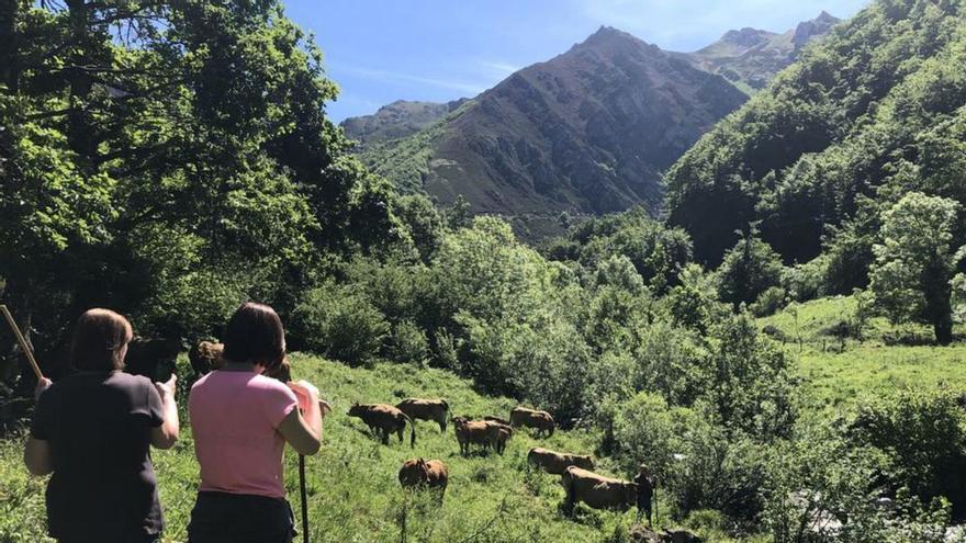 Las claves del Estatuto de las Mujeres Rurales
