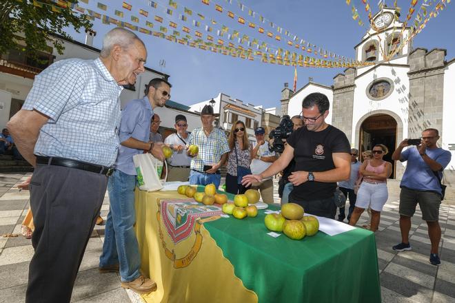 Fiesta de la manzana en Valleseco