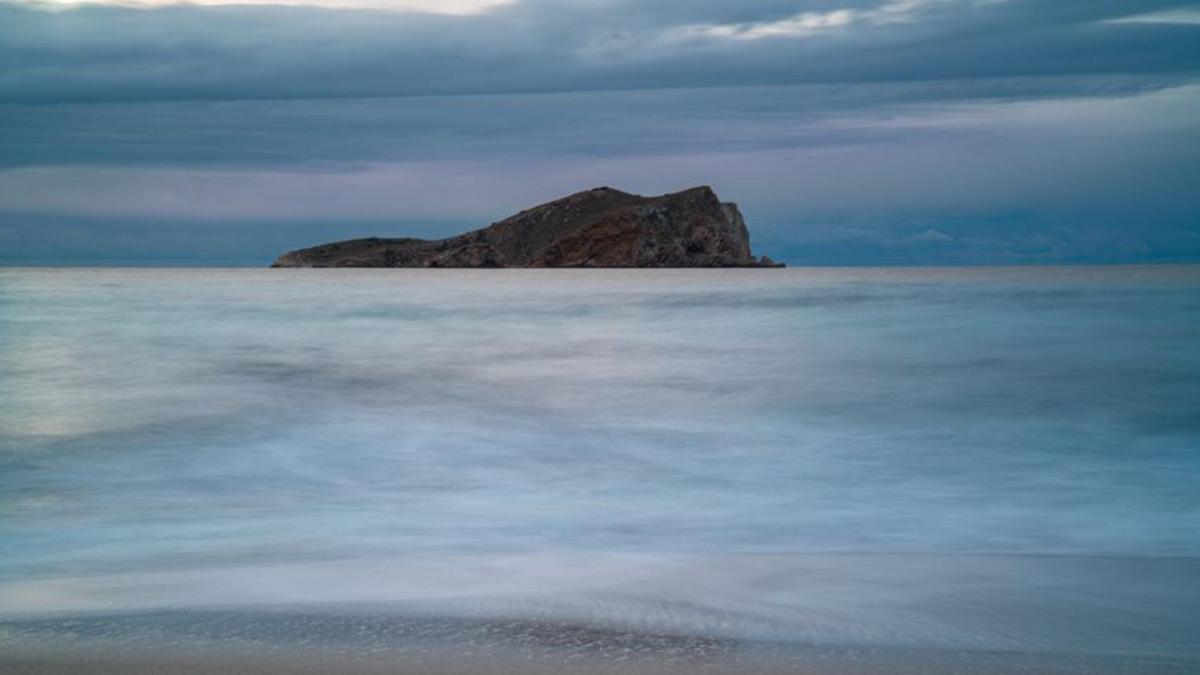 S&#039;Espartar acoge la colonia más valiosa de fumarell del Mediterráneo occidental.