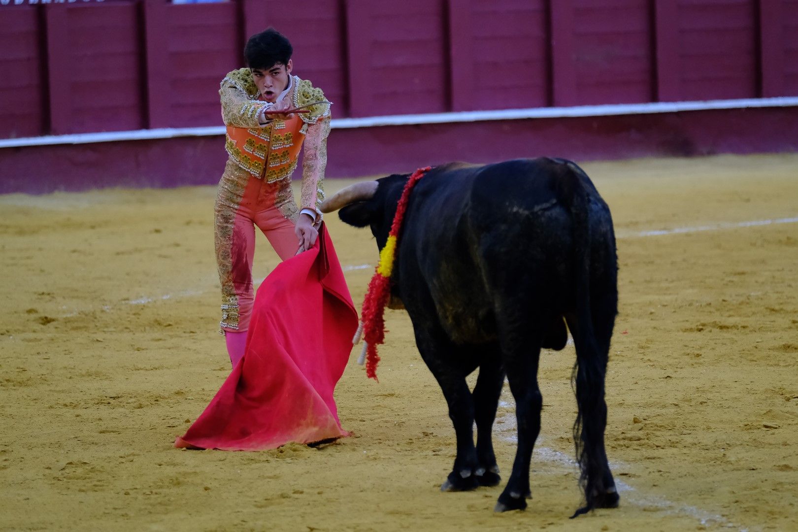 XVI Certamen Internacional de Escuelas Taurinas La Malagueta