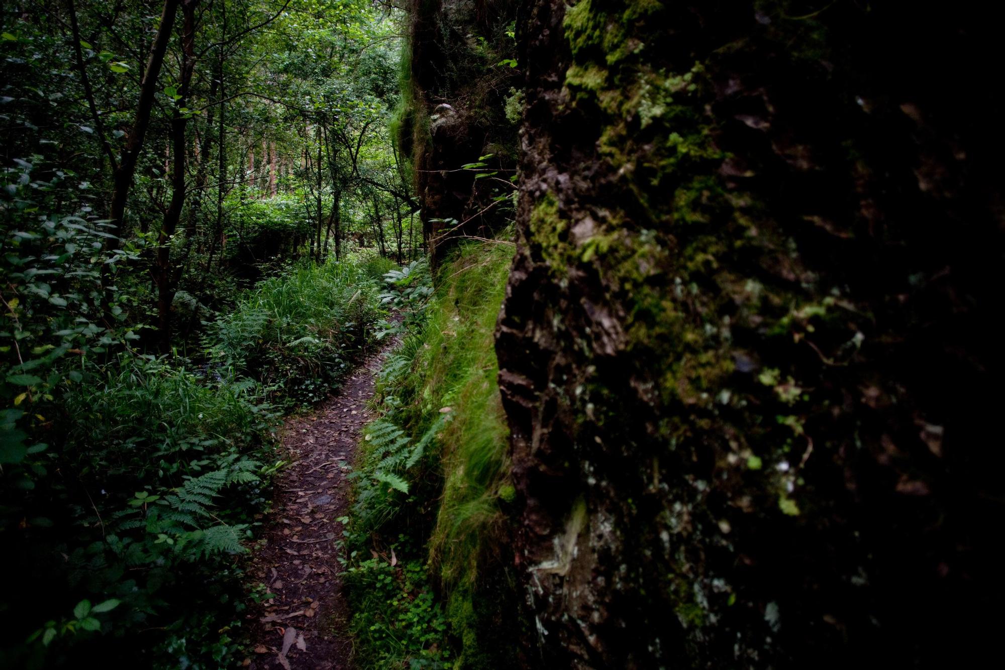 Descubriendo la Garganta del Escañorio