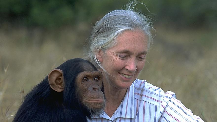 Jane Goodall denuncia las &quot;amenazas&quot; de la macrogranjas para el entorno y la salud