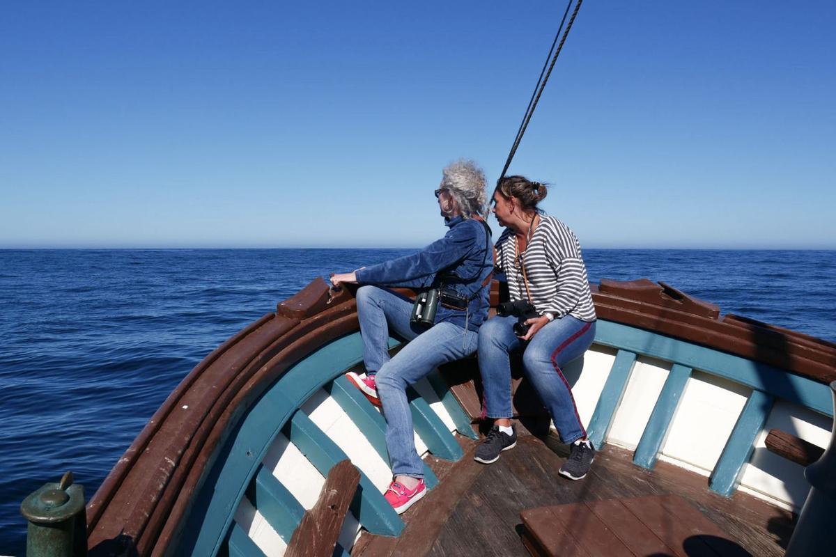 Participantes en la expedición que el 20 de agosto de 2023 disfrutó de la presencia de orcas en la ría de Arousa.