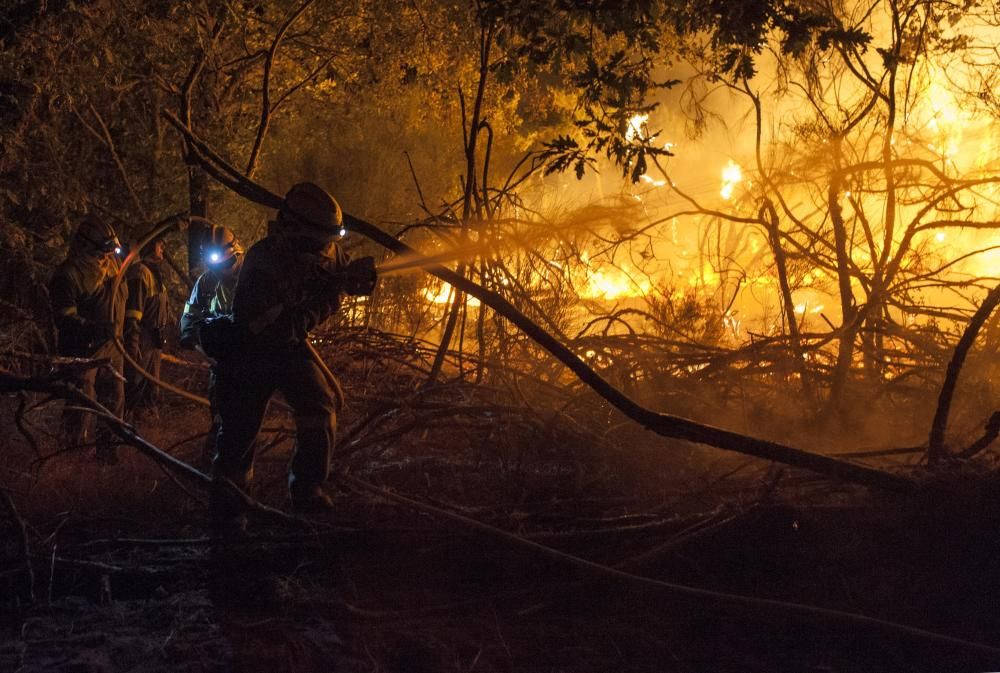 Oimbra sufre un incendio forestal // B.Lorenzo