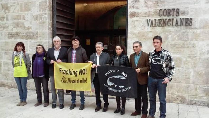 Besalduch, Signes, Pañella y Tormo, ayer, con la plataforma en las Corts Valencianes.