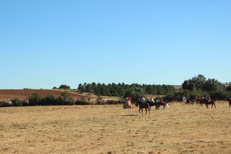 Encierro campero de Cubo del Vino