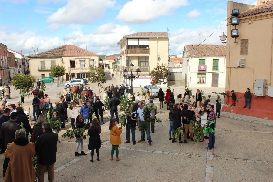 Procesión de Santa María en Fuentesaúco