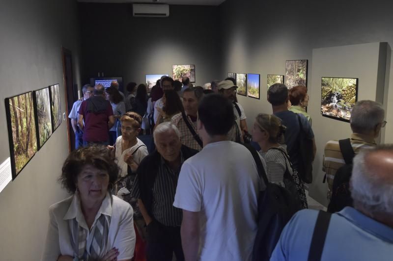 Presentación de libro y exposición sobre la lauris