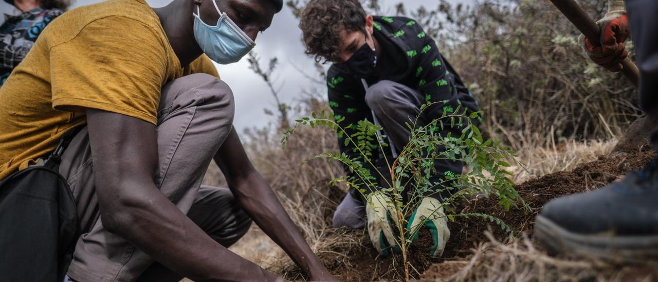 Dos alumnos plantan un árbol en el proyecto de recuperación del Parque de Las Mesas, en el que colabora Fundación Cepsa