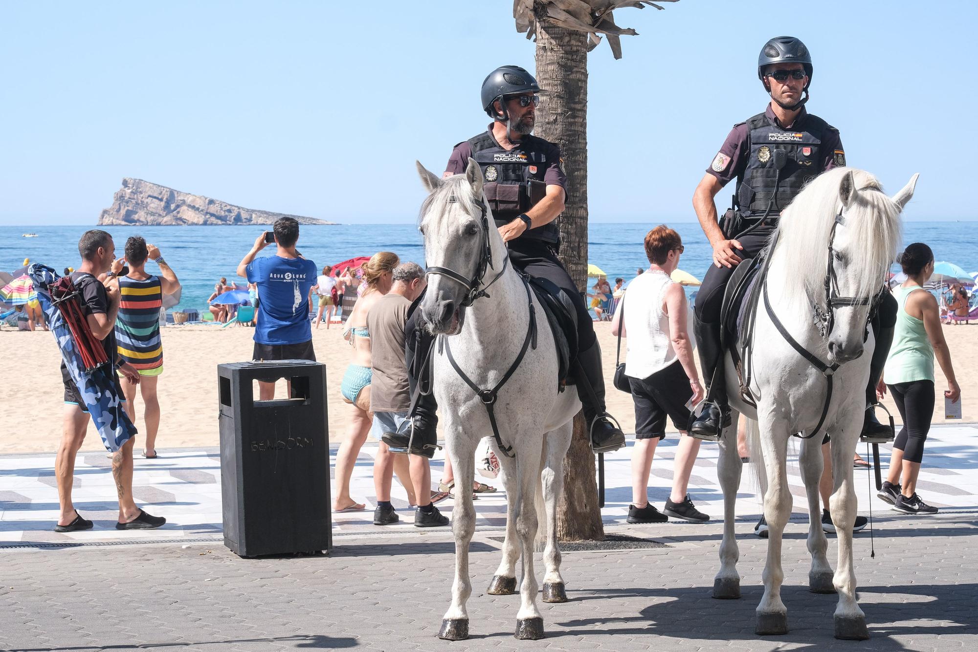 Así ha sido la exposición de medios de la Policía Nacional en Benidorm