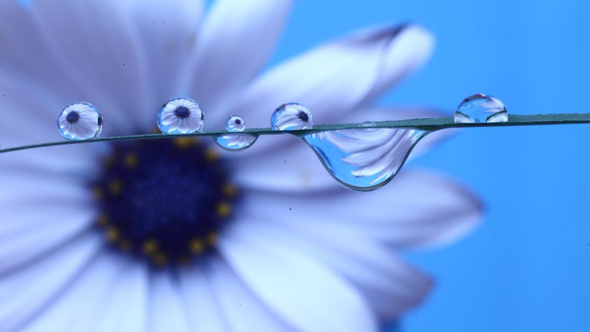 ‘Lentes de agua’ de Alejandro Colchero Truniger