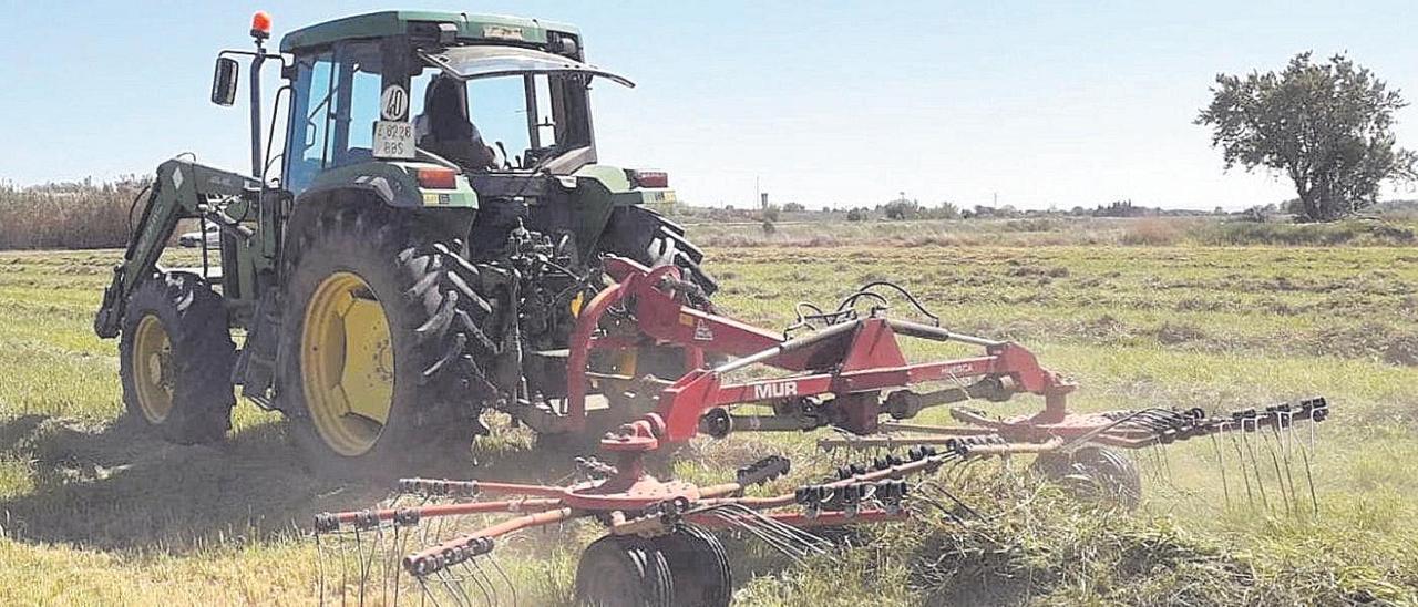 Una agricultora realiza labores en su campo, en la provincia de Zaragoza.