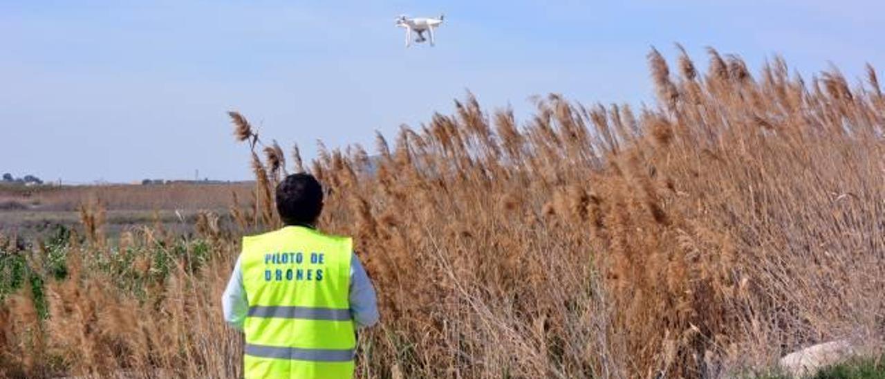 El tratamiento con dron en la zona encharcada y la inspección previa en la pedanía del Rodriguillo.