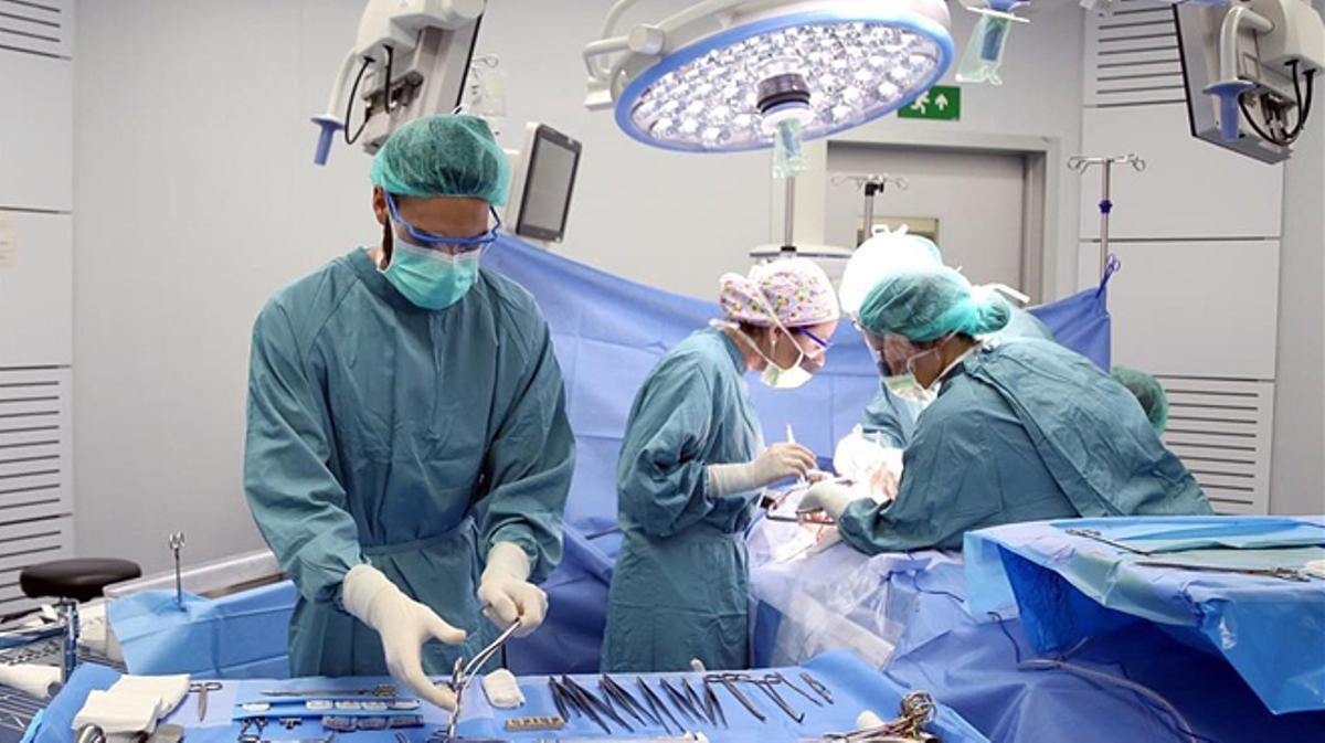 El Vall d’Hebron aconsegueix un rècord de 10 trasplantaments d’òrgans a nou persones en només 24 hores.