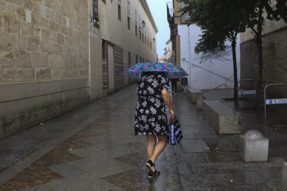 Las imágenes de la fuerte tormenta en Zamora