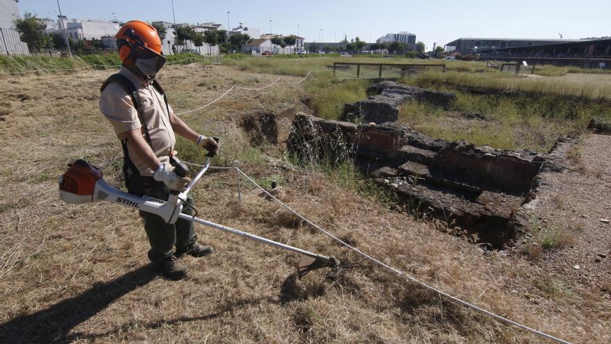 Urbanismo saca un contrato para limpiar y desbrozar la zona arqueológica de Cercadilla
