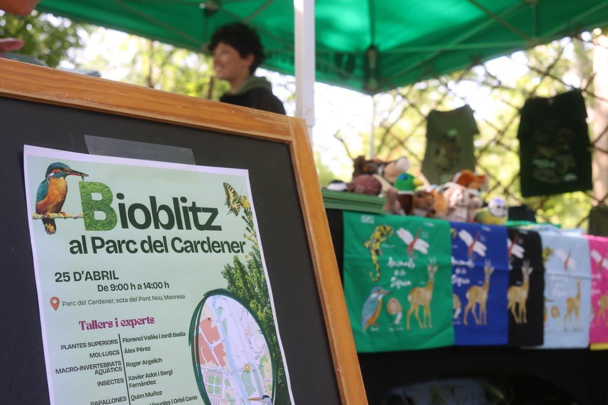 Unes 85 perosnes aficionades a la natura han participat al Bioblitz