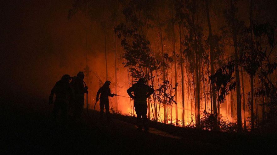 Cuatro incendios en Galicia arrasan ya 1.000 hectáreas