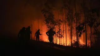 Cuatro incendios en Vilardevós y Ponteceso arrasan ya 1.000 hectáreas