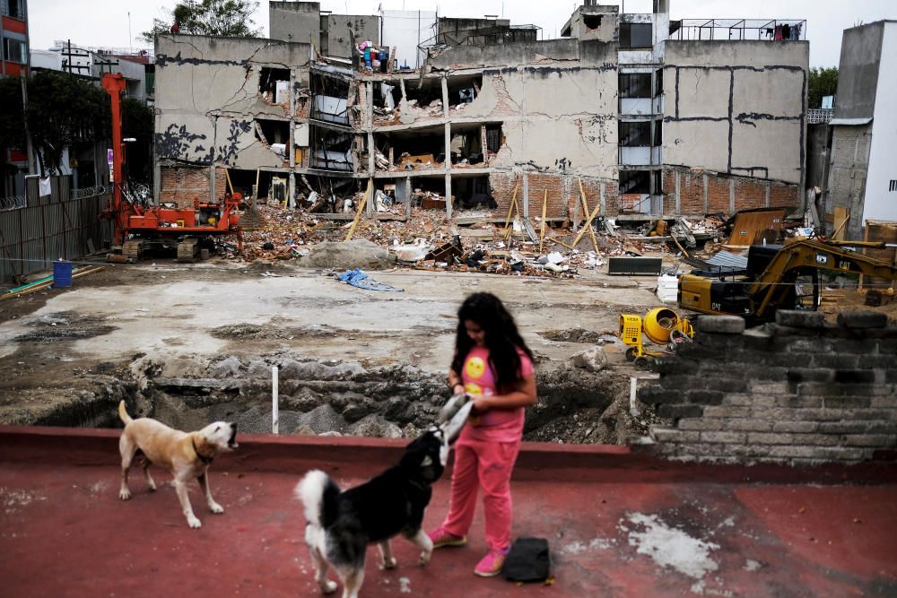 Girl plays with her dogs in front of a collapsed ...