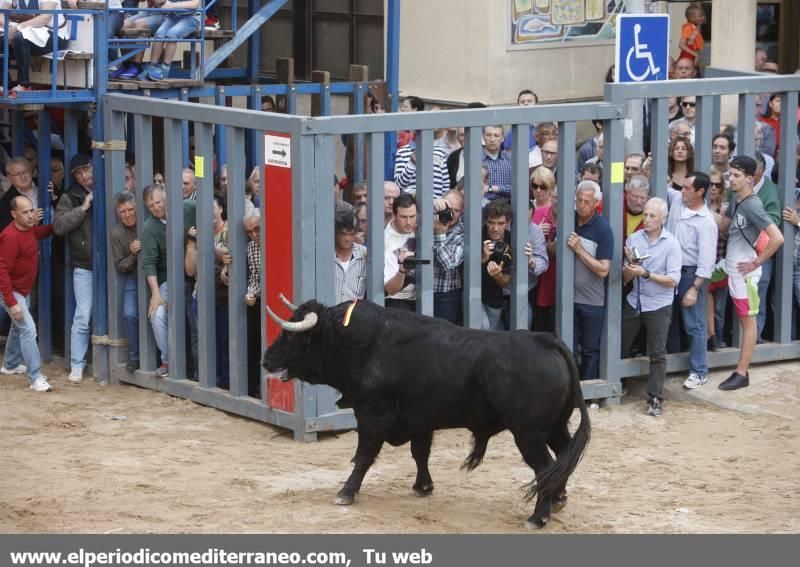 Bou per la vila en Vila-real