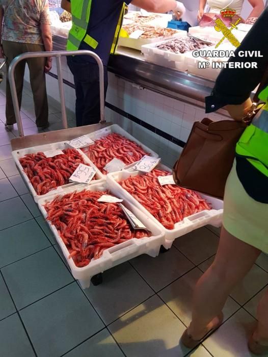 Detectan infracciones de control sanitario del pescado en Alicante y Tabarca