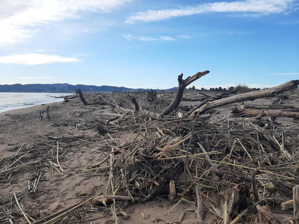 Danys a Torroella de Montgrí pel temporal Harry