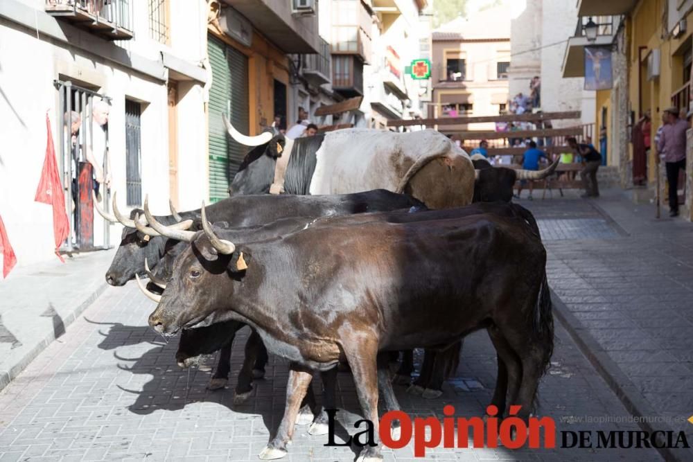 Primer encierro Moratalla