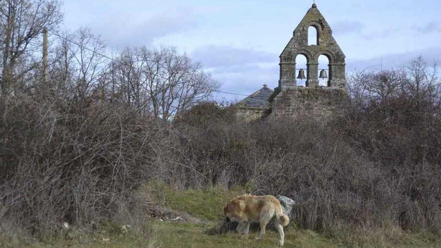 Iglesia de Carbajales de la Encomienda.