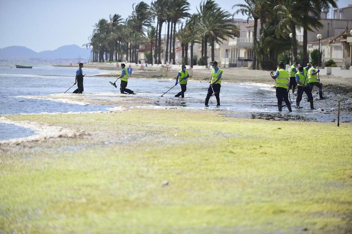 Luengo afirma que el viento ha evitado que el Mar Menor entrara estos días en anoxia