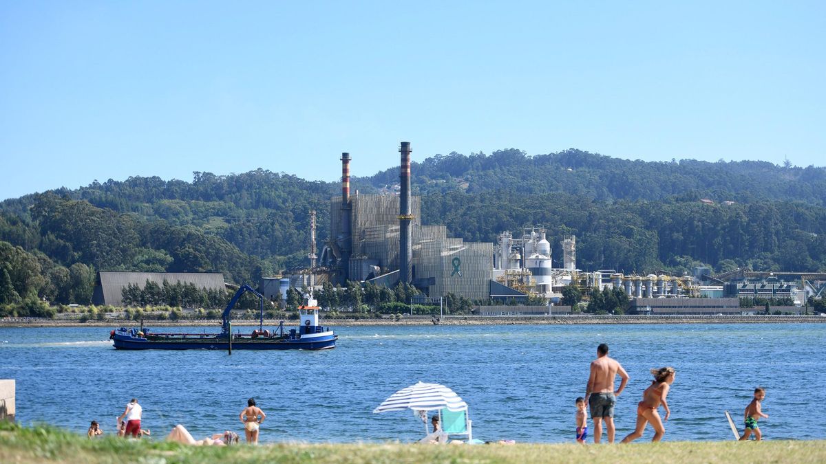 La fábrica de Ence en Pontevedra.