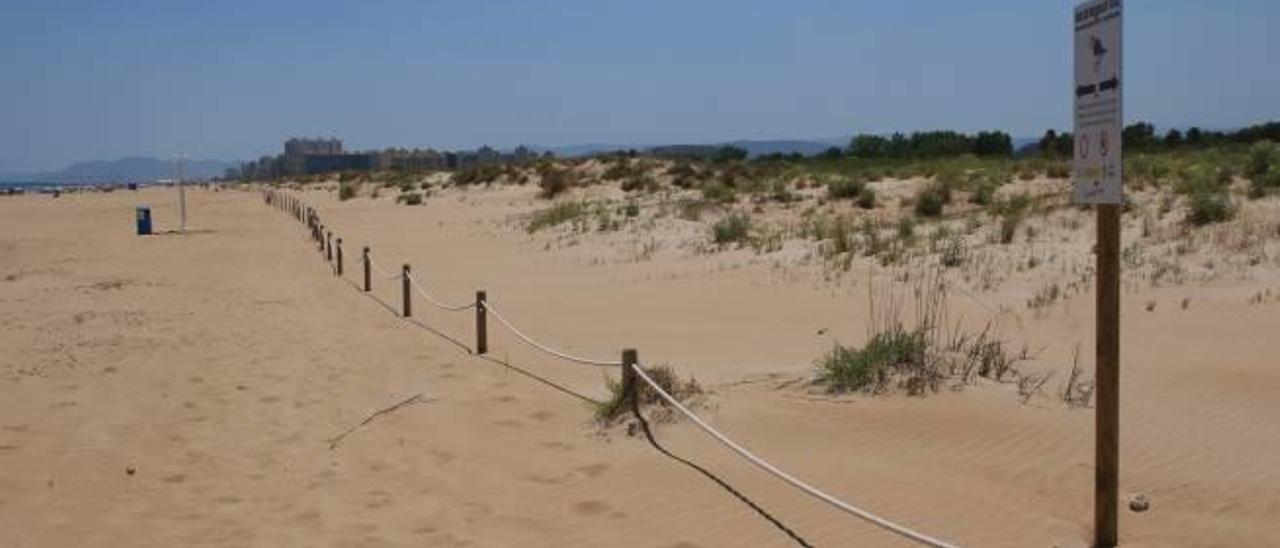 Xeraco reclama para su término 150.000 m2 de playa que Gandia también considera suya