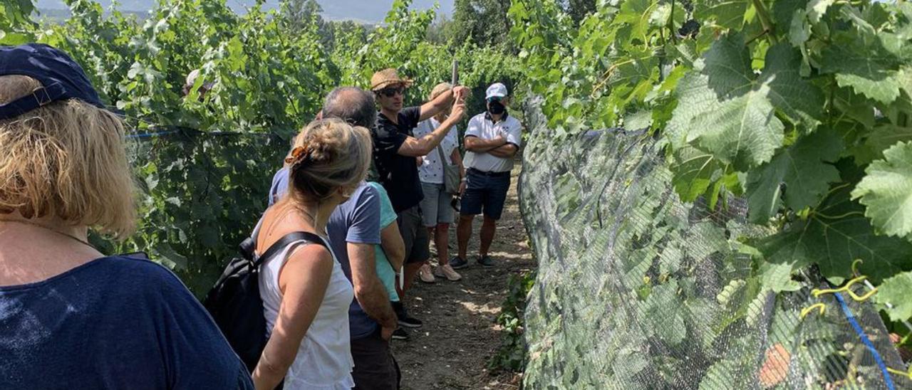 Un grup fa una visita al celler Llivins | ARXIU PARTICULAR