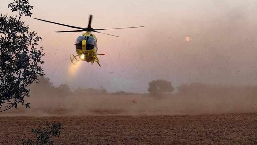 En estat crític a la Vall Hebron una dona després de caure d'un cavall als Aiguamolls de l'Empordà