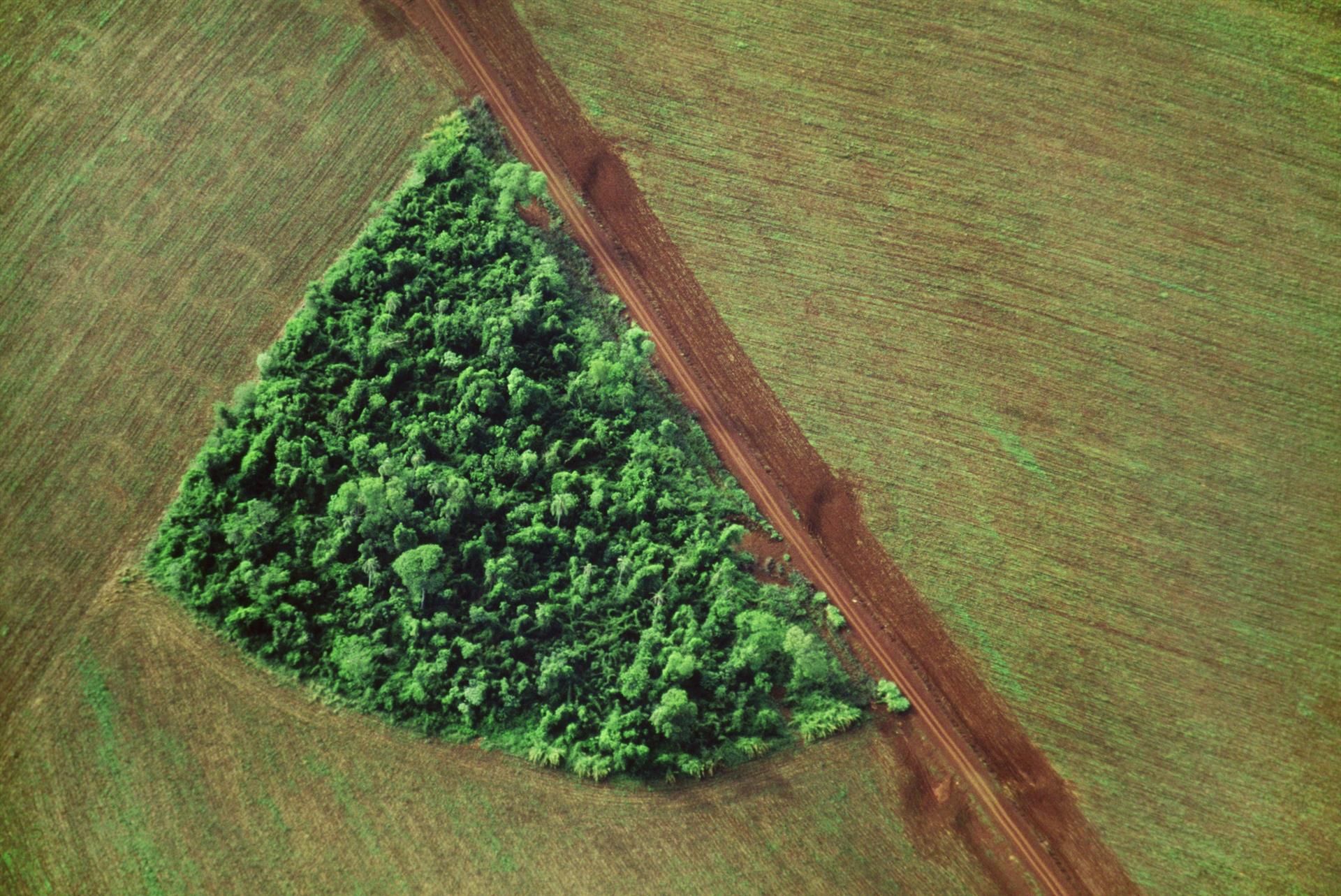 Áreas agrarias junto a un pequeño sector de bosque en Brasil.