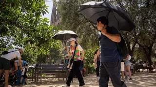 Barcelona es la segunda ciudad europea con más muertes por la última ola de calor