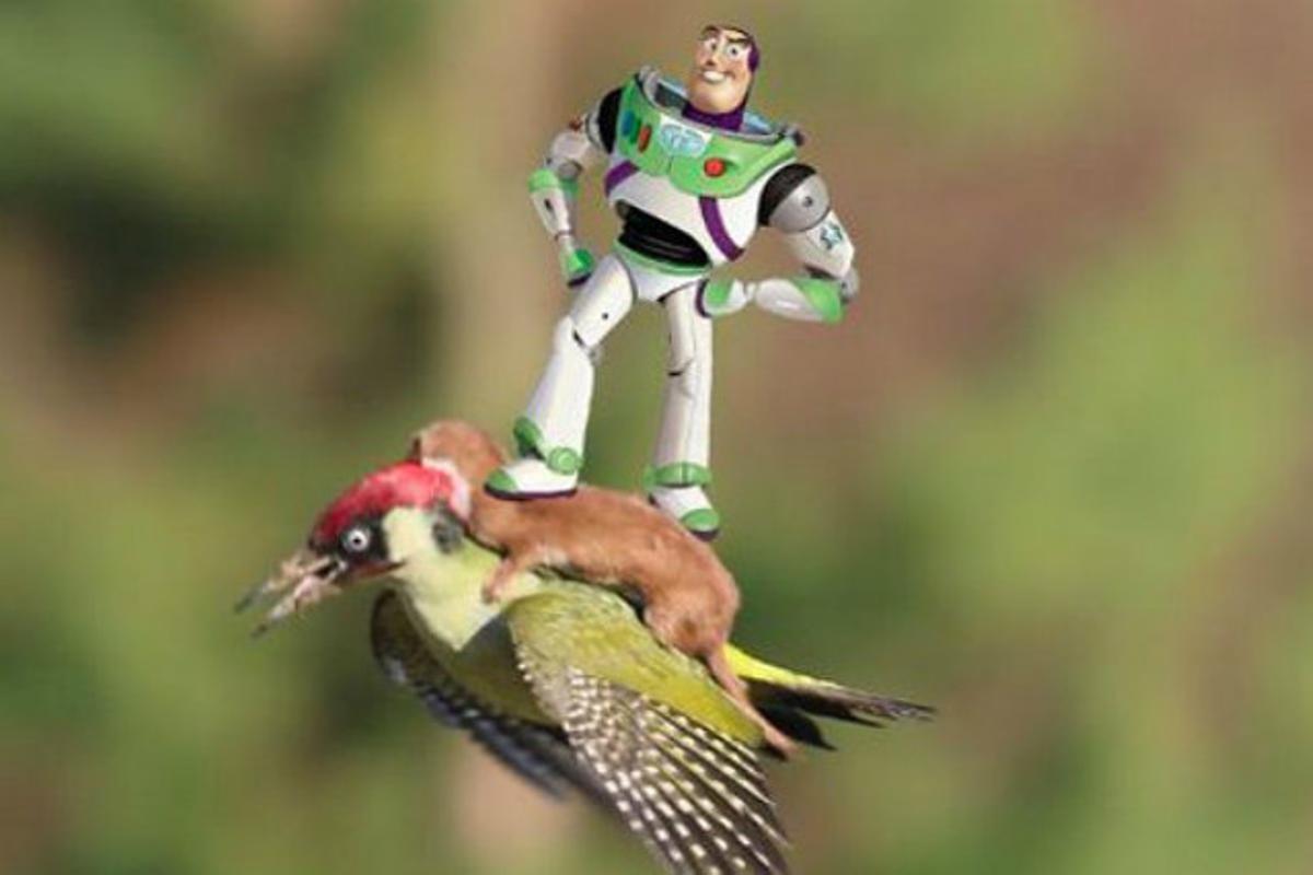 ’Mem’ de Buzz Lightyear, encantat, volant amb l’ocell i la mostela.