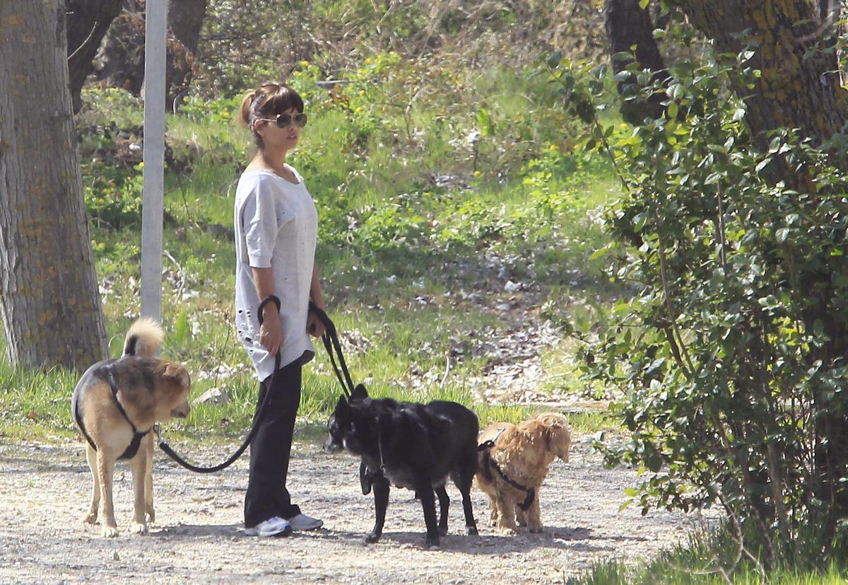 Mónica Cruz, sacando a sus perros por Madrid