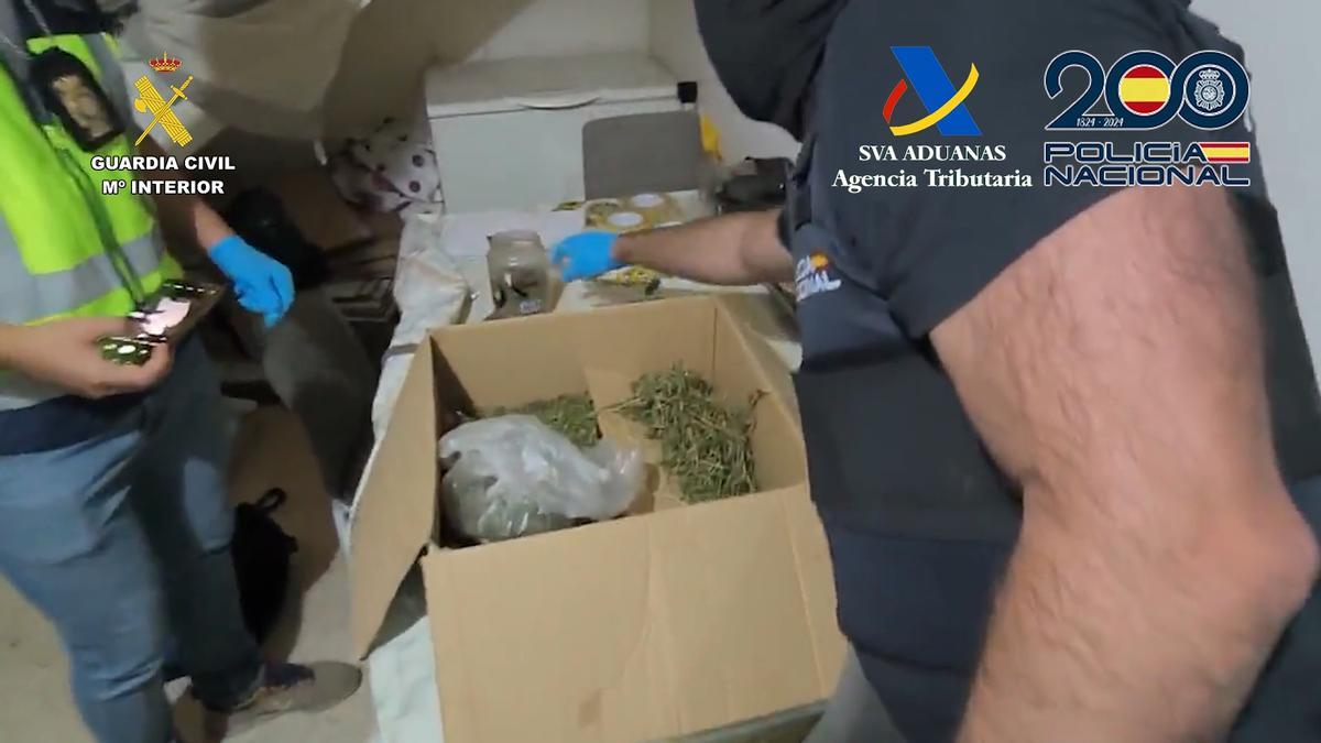 Vídeo | Desarticulada una organización criminal dedicada al contrabando de tabaco y al tráfico de drogas en Sevilla