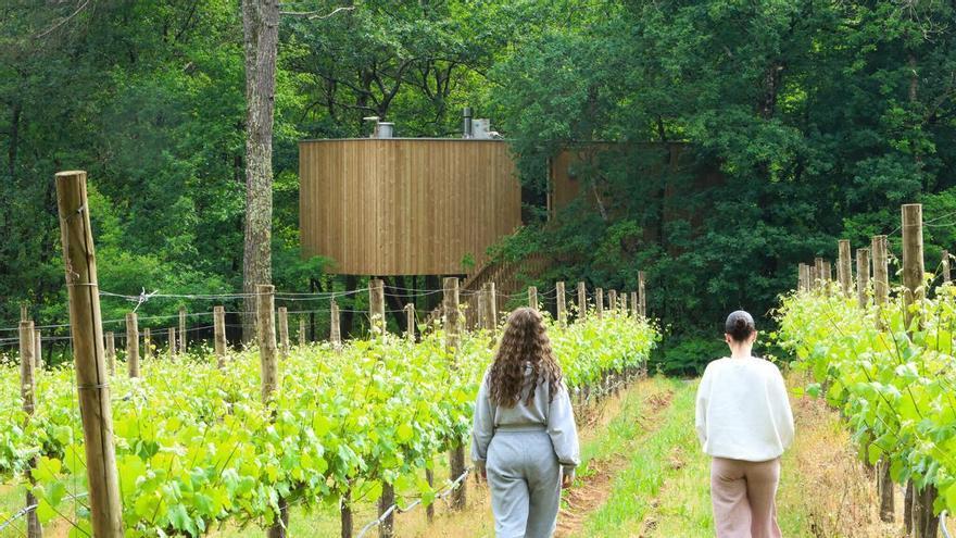El bum de las cabañas del bosque: crecen un 30% en Galicia en el último lustro