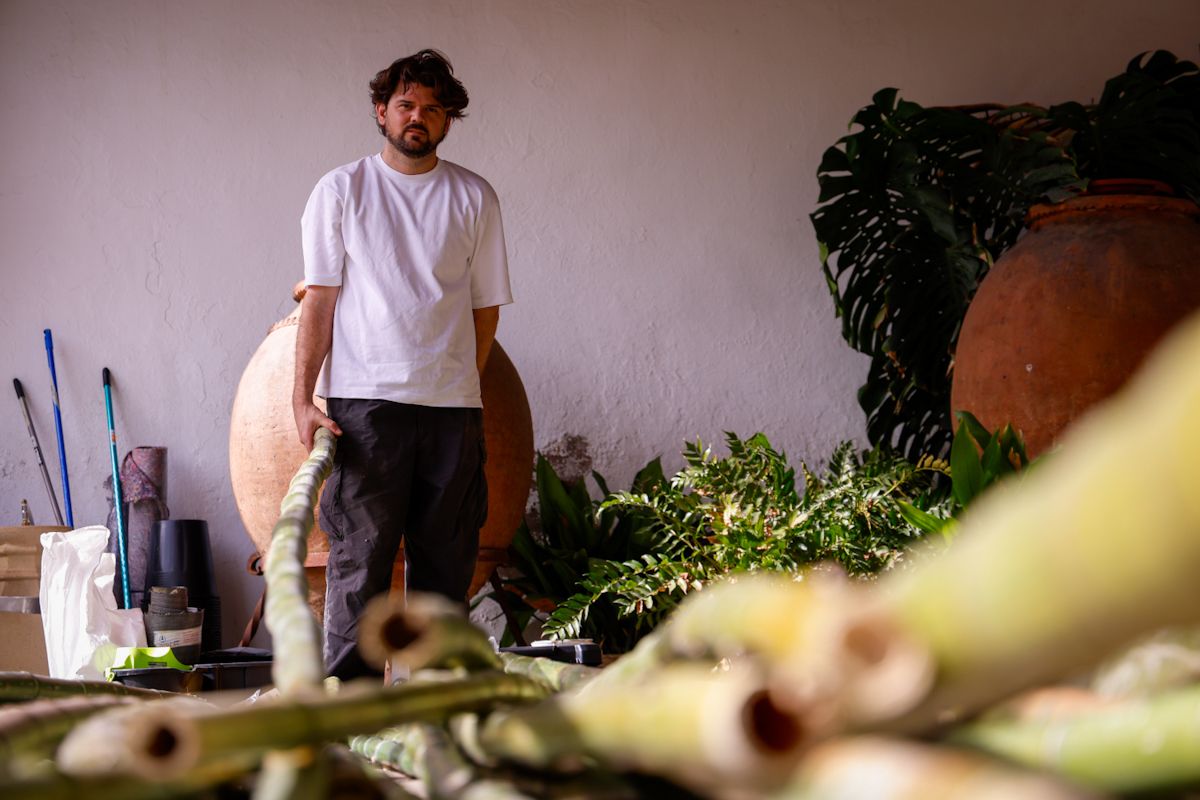 Comienza el montaje de las instalaciones de Flora 2025