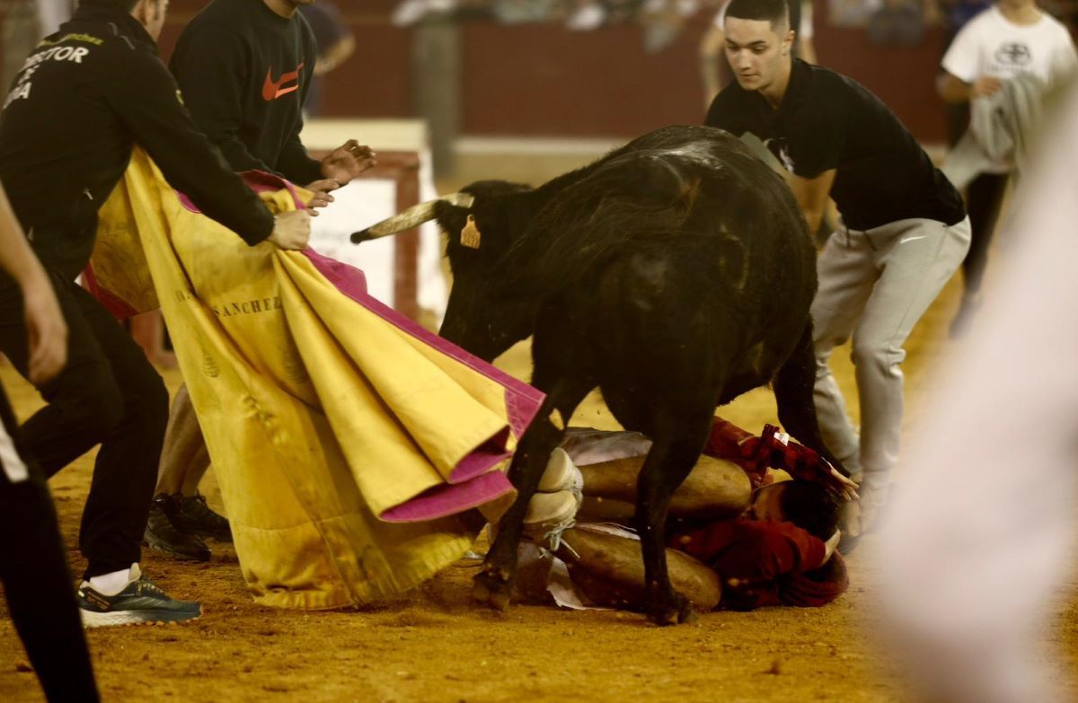 En imágenes | Vaquillas en la plaza de toros